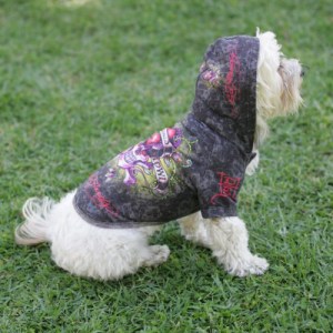 dog-ed-hardy